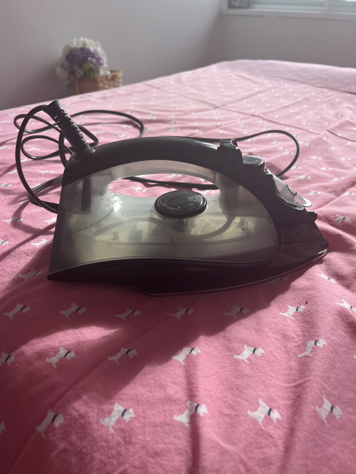 Iron box