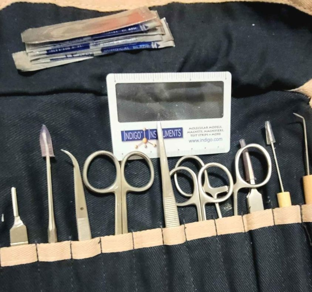 molecular set and Dissecting set