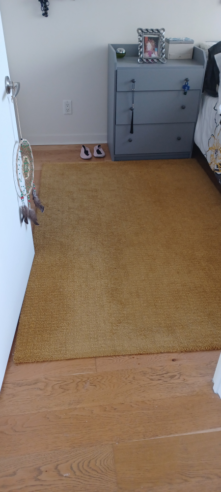 MOVING SALE - EVERYTHING  HAS TO GO BY END OF SEPTEMBER