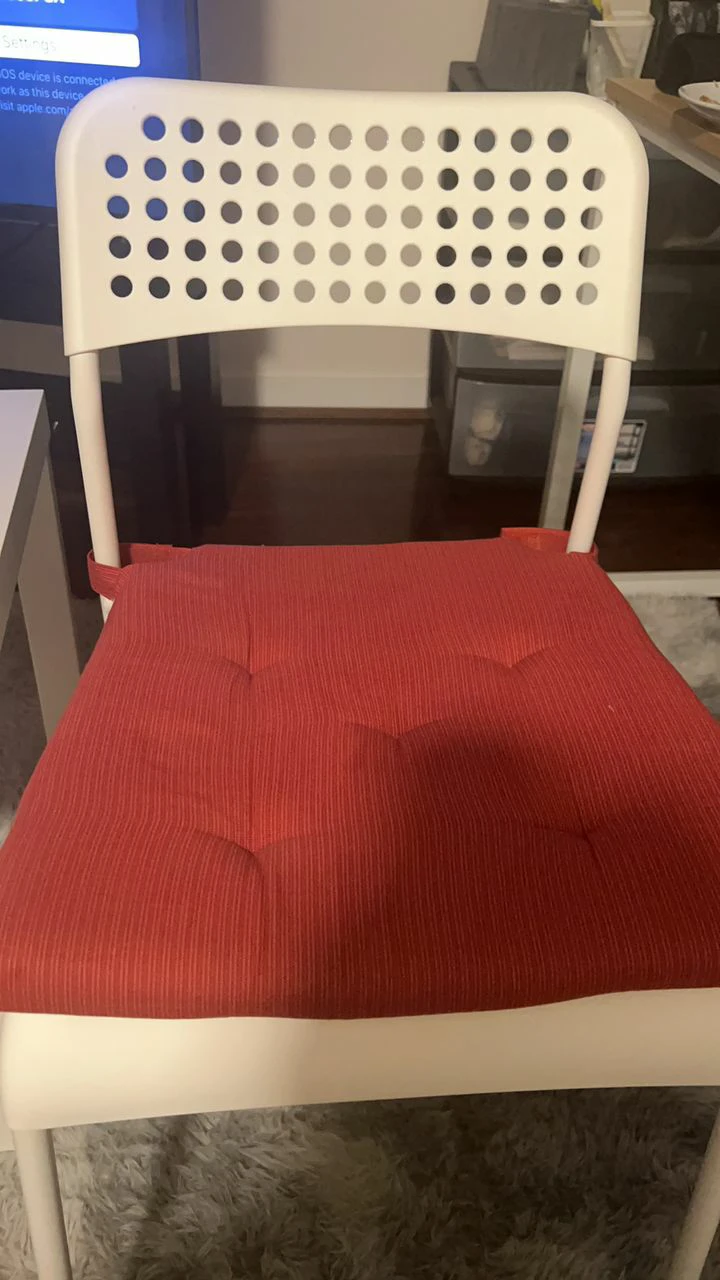 Chair with Chair Pad