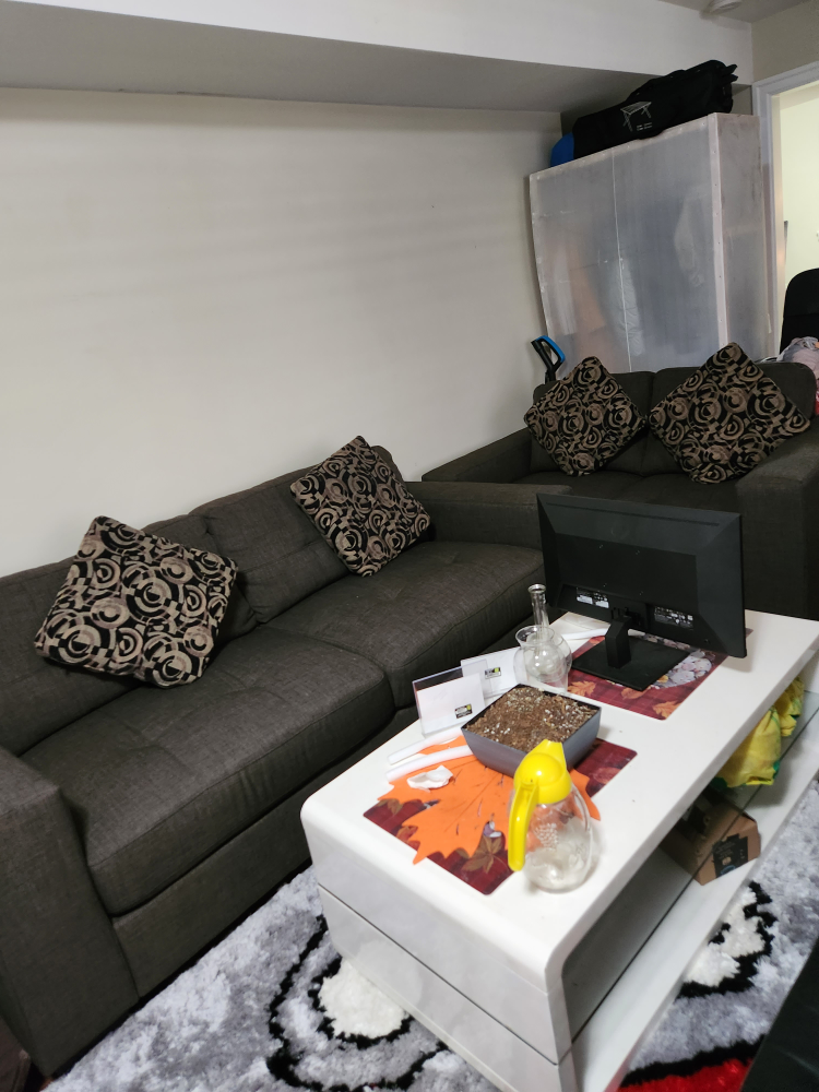 Area rug and coffee table thumbnail