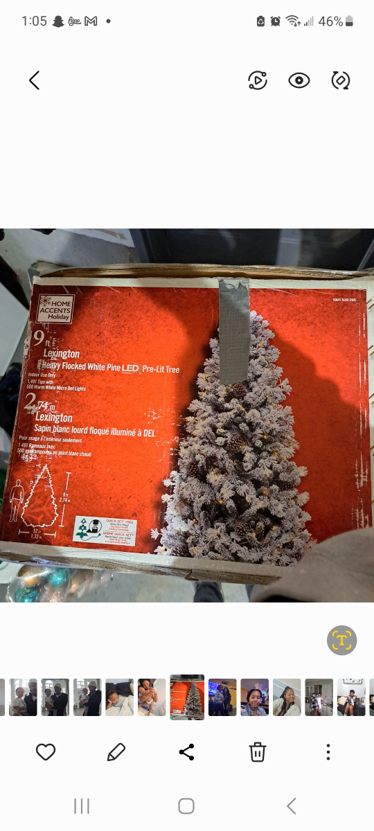 9 foot Flock Christmas Tree