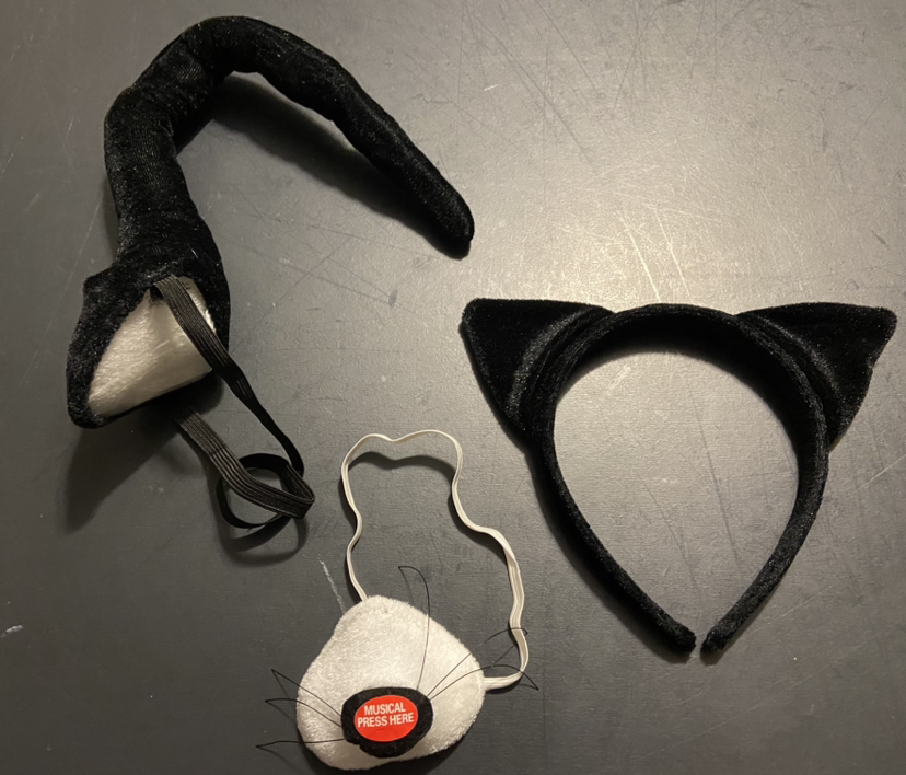 Cat Accessory Kit - photo 2
