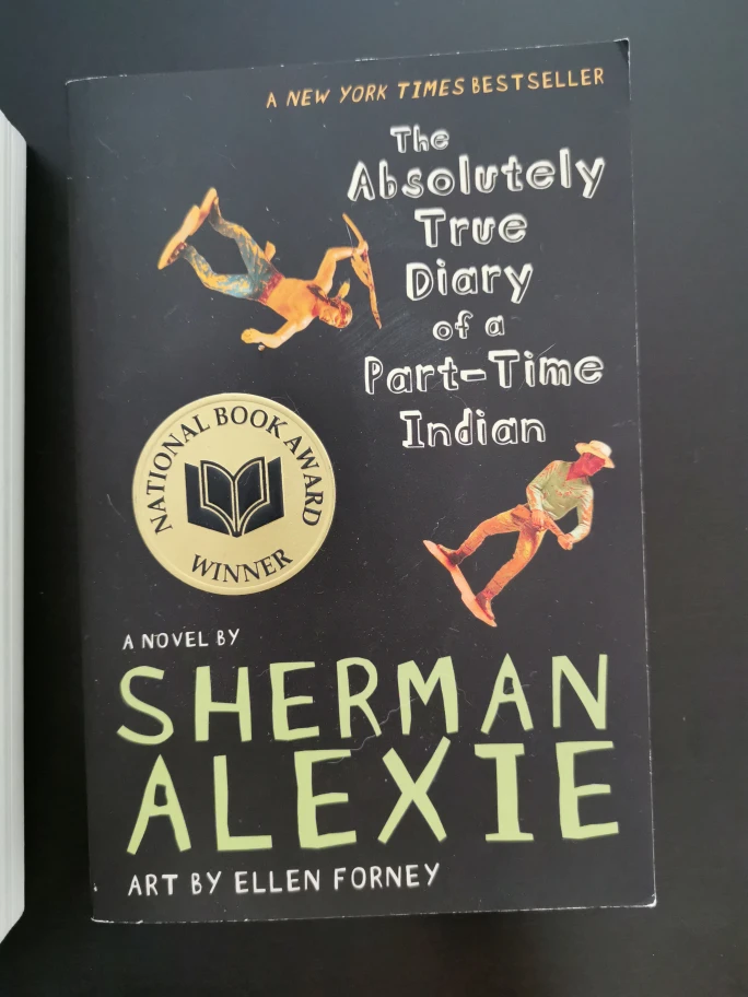 Indigenous Novels image indicator(3)