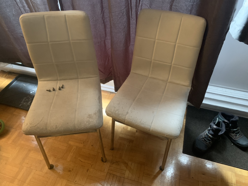 Pair of white chairs