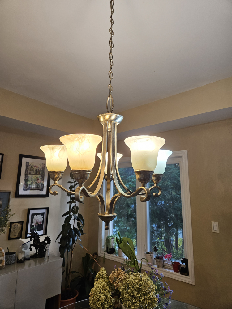 5 head chandelier