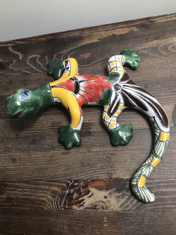 Mexican talevara  lizard