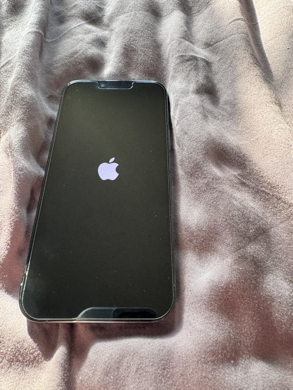 iPhone 13 Max Pro - photo 4