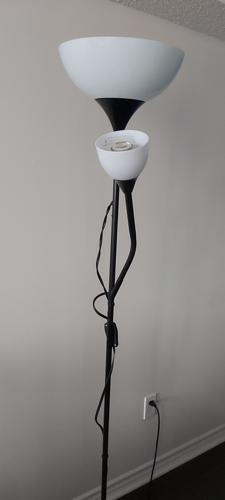 lamp