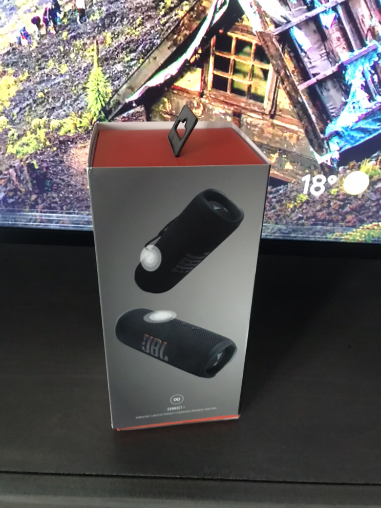 JBL FLIP 6 - photo 2