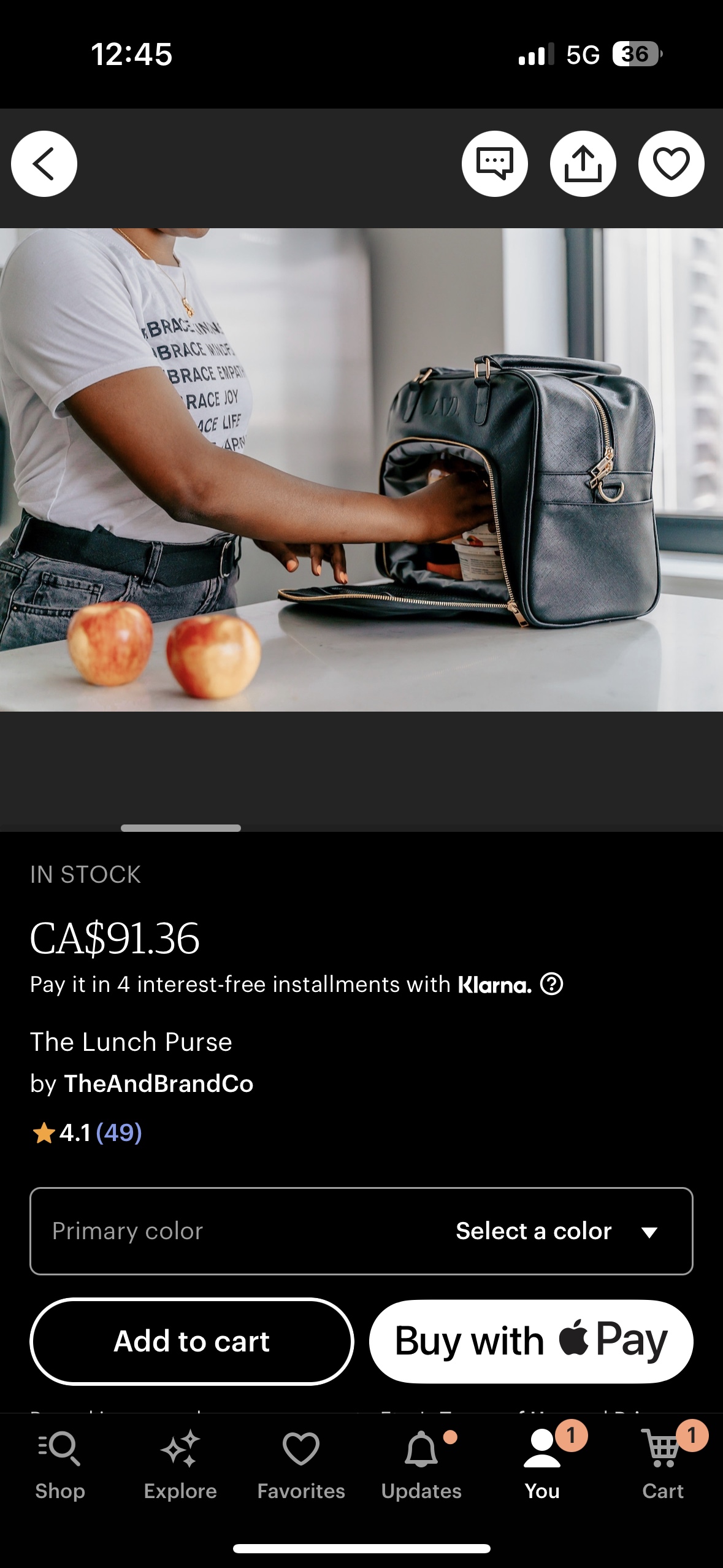 The lunch Purse