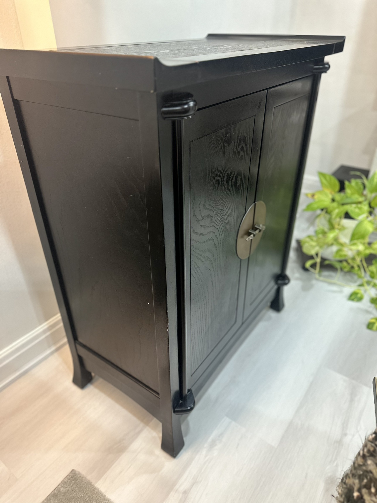 42” tall Dark Brown (black)2 Door Accent Srorage Cabinet image indicator(2)