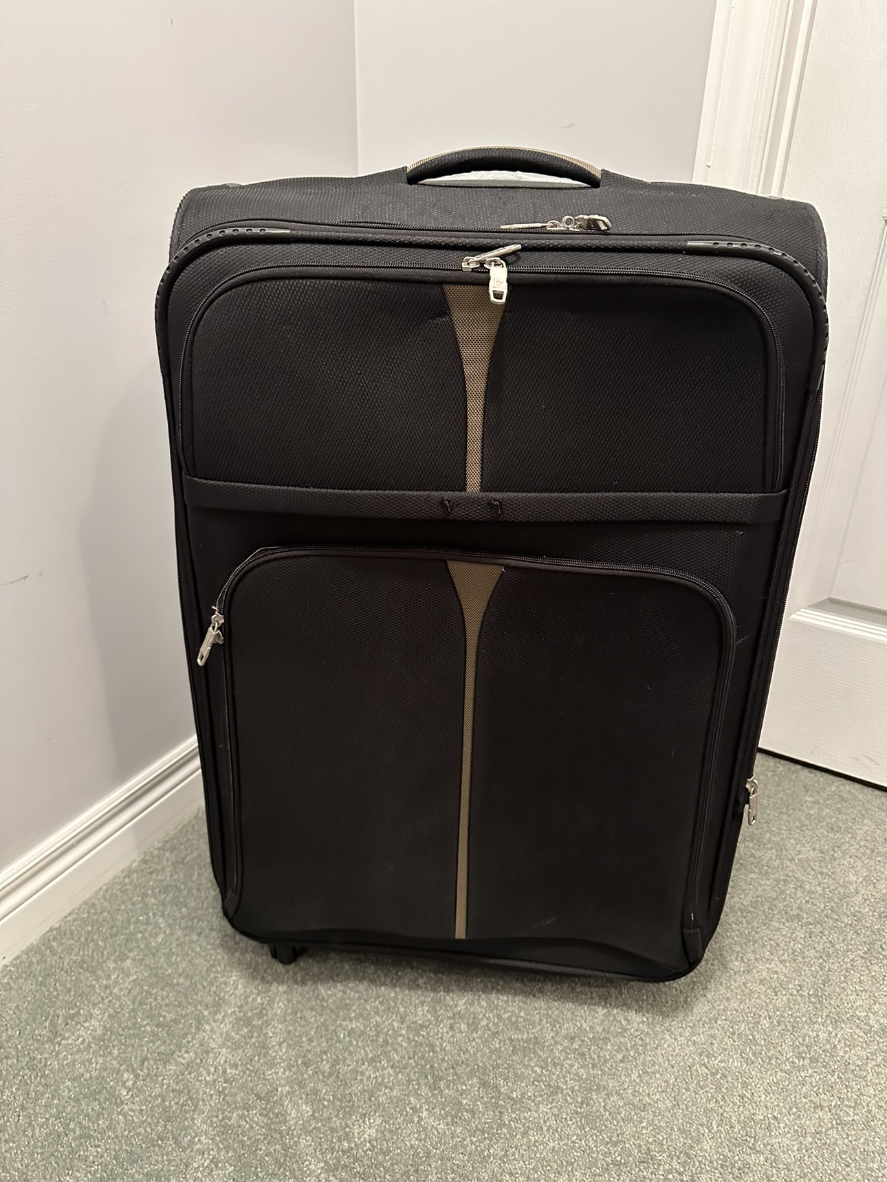 Large Luggage in Black