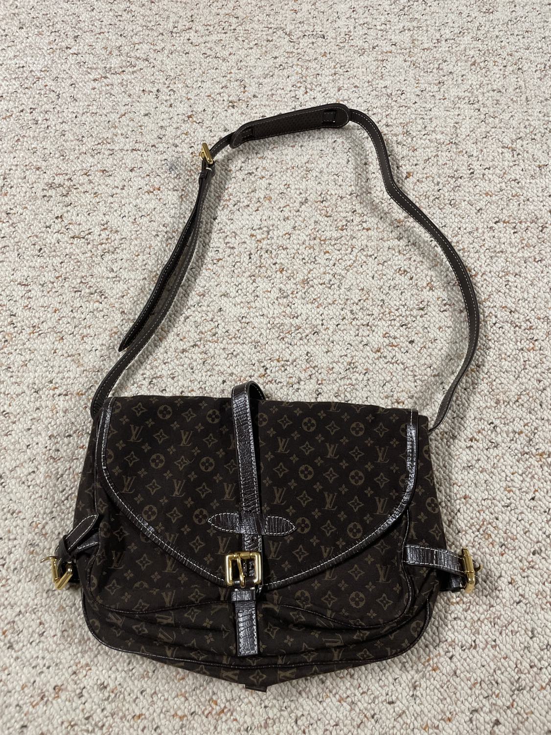 Vintage Louis Vuitton bag image indicator(2)