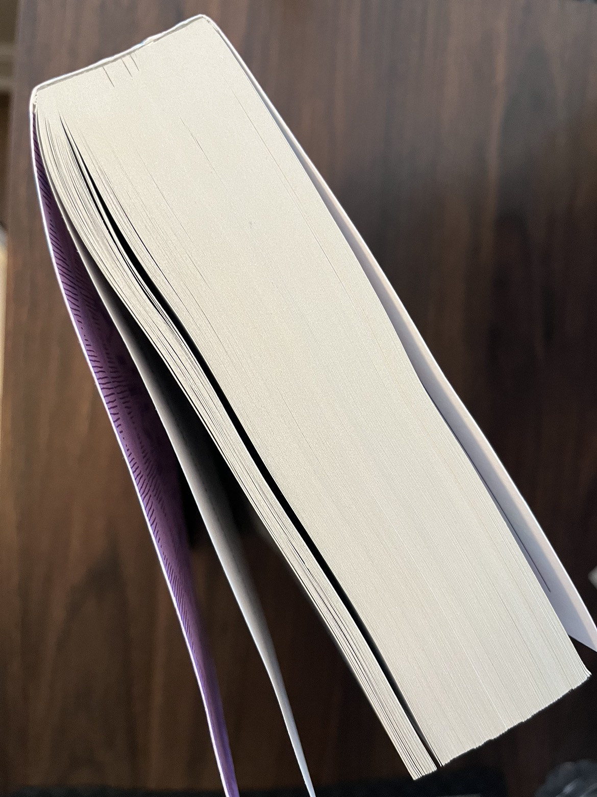 What to Expect When You are Expecting image indicator(2)