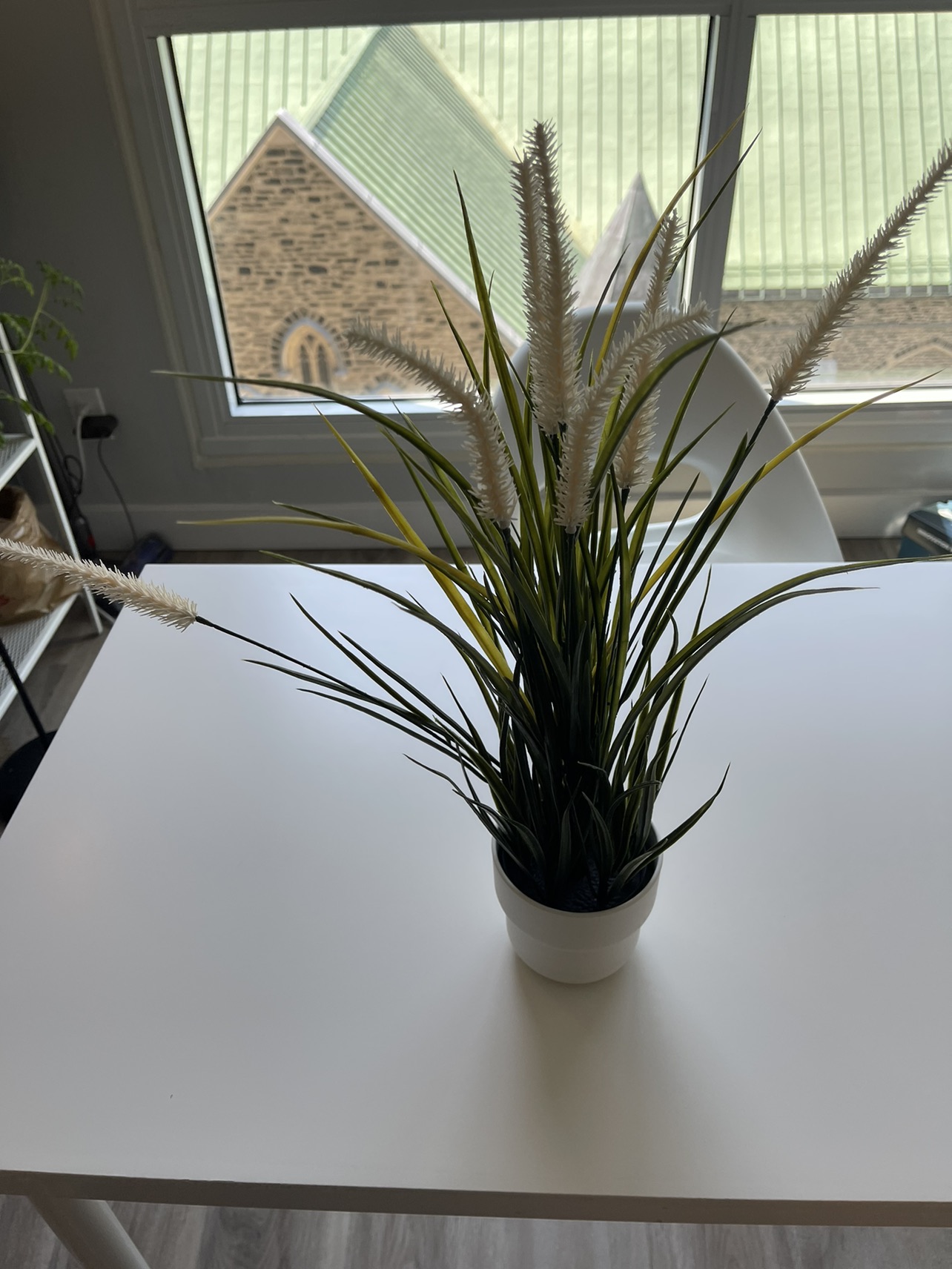 Ikea fake plant thumbnail
