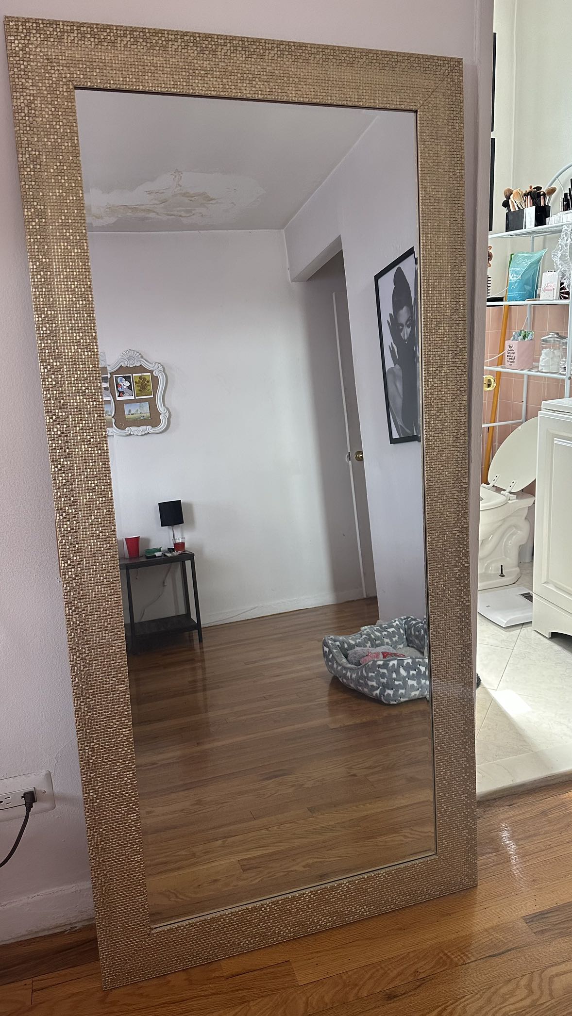 Full Length Mirror - photo 3