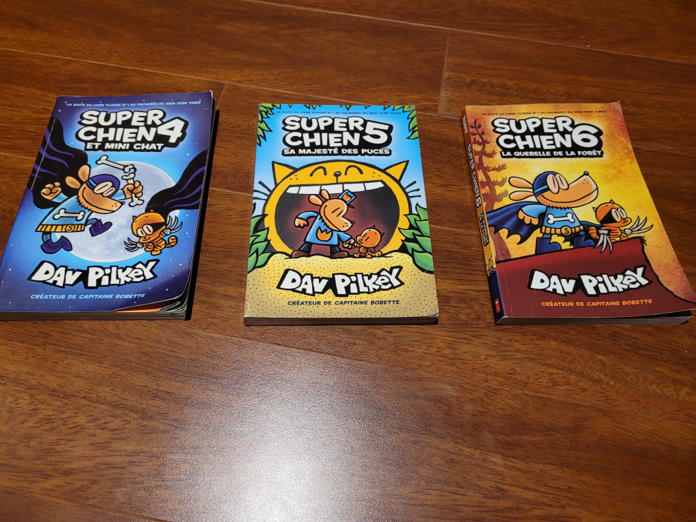 Super Chien - children French books