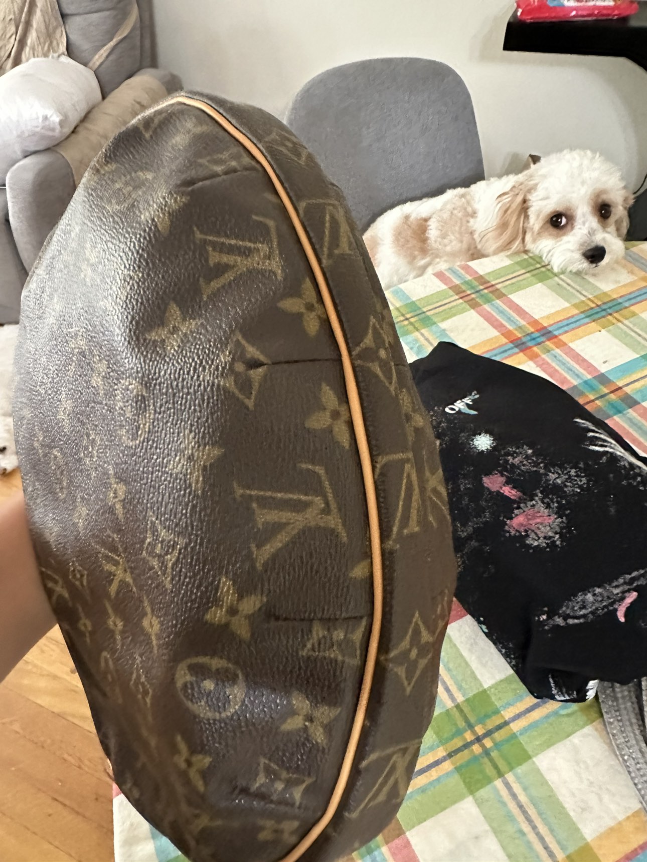 Louis Vuitton croissant bag - photo 2