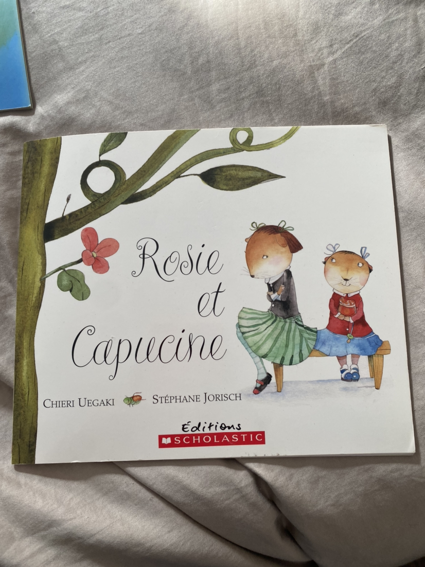 French children’s story books (two) image indicator(2)