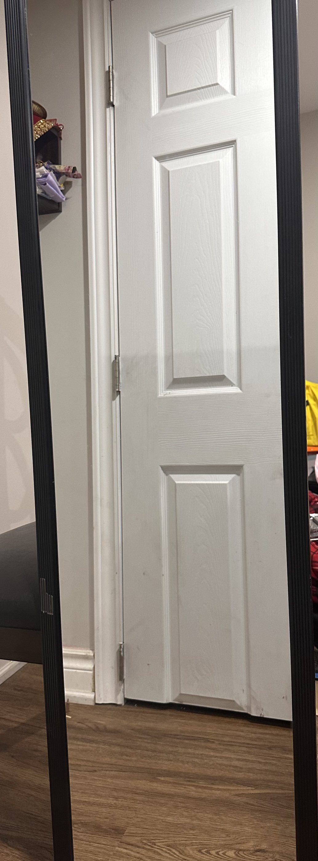 Door Mirror