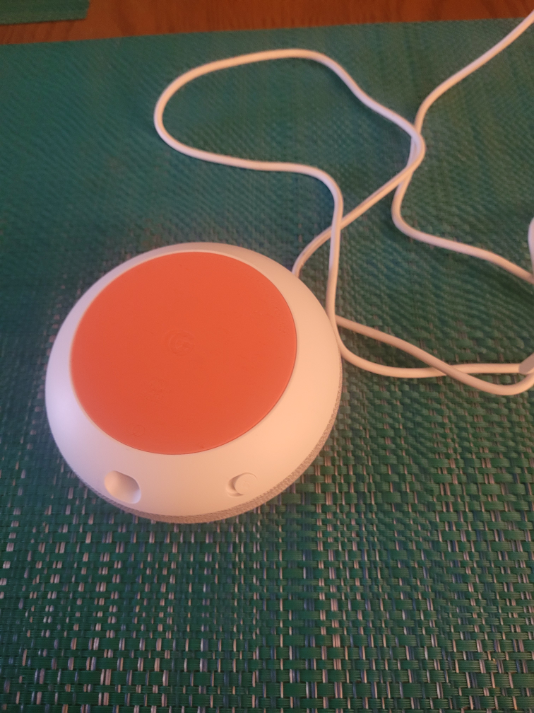 Google Echo