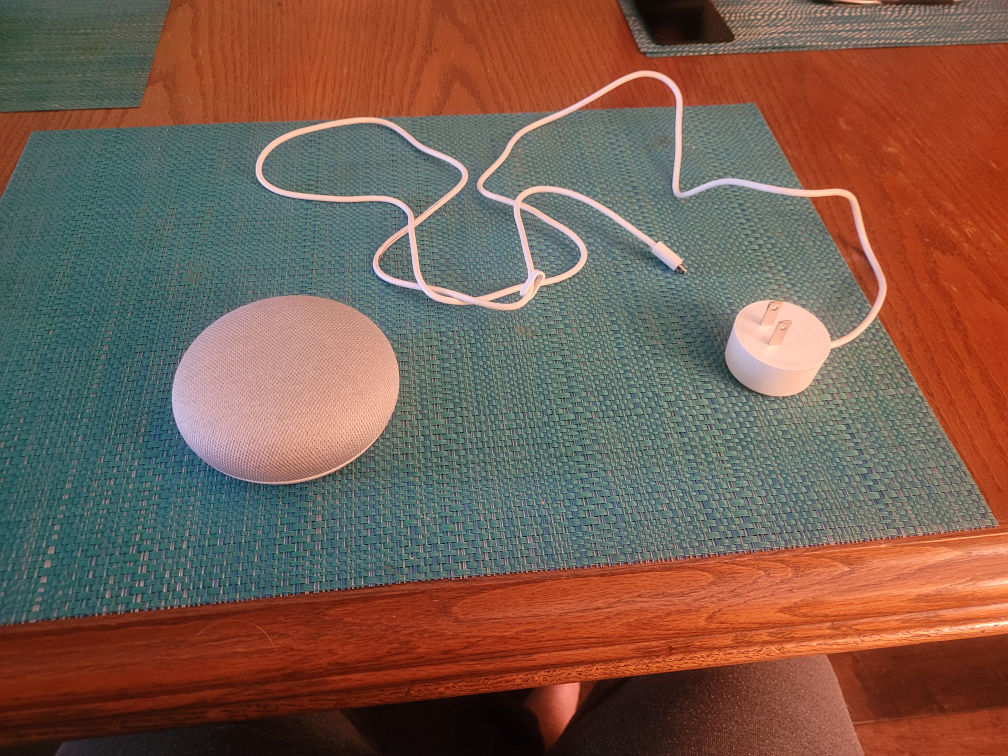 Google Echo - photo 3