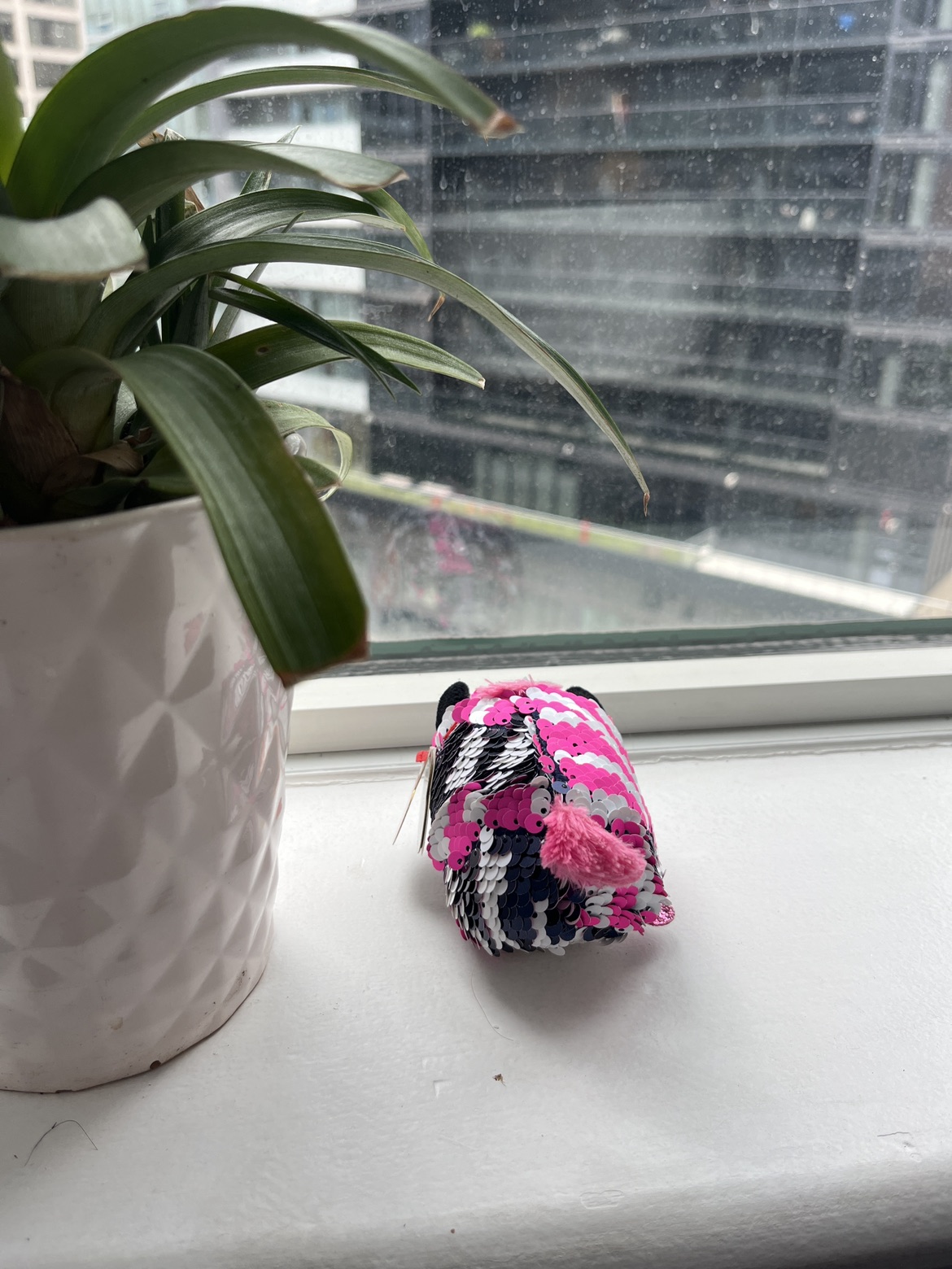 Zoey - Teeny Ty’s Collectible image indicator(2)