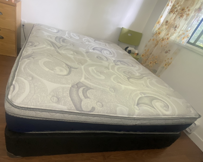Queen Mattress and Spring Box