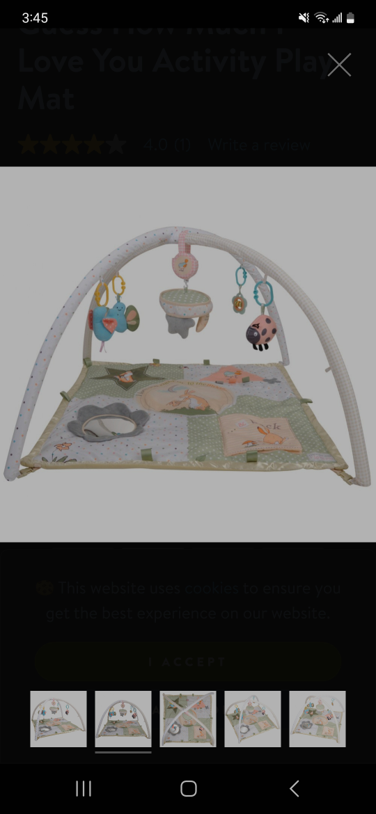 Baby activity gym /playmat - photo 2