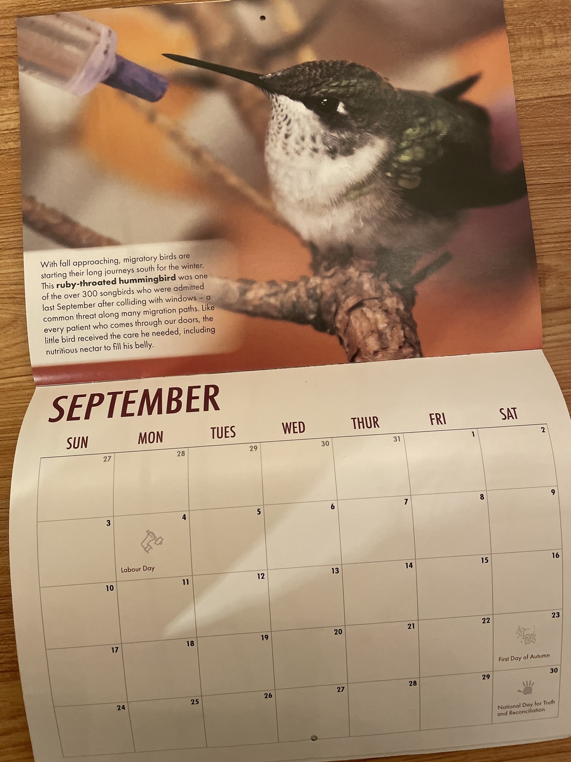 FREE TWC Calendar! image indicator(2)