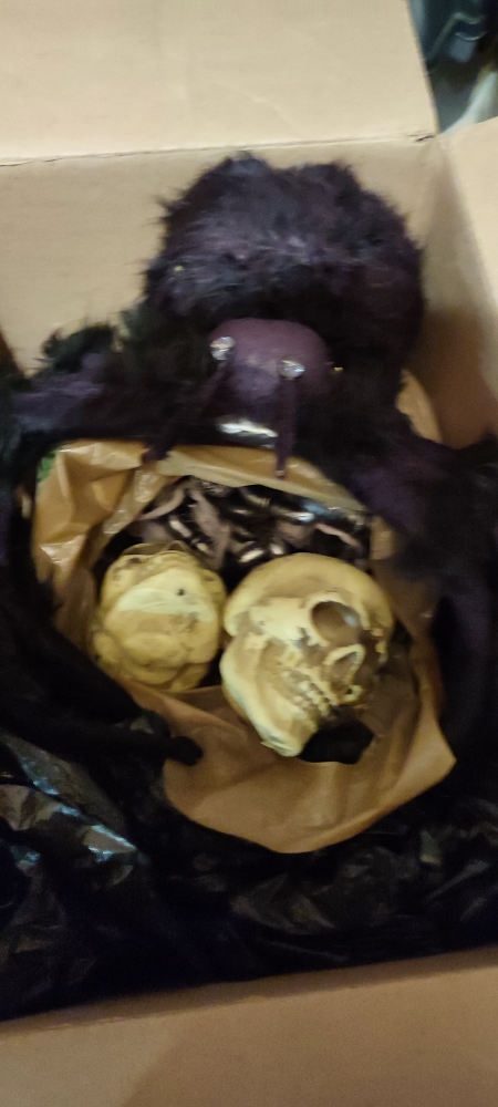 Halloween decor - photo 3