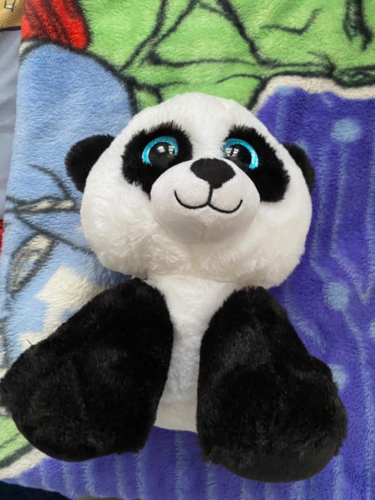 Panda 🐼 bear ❄️ - photo 4