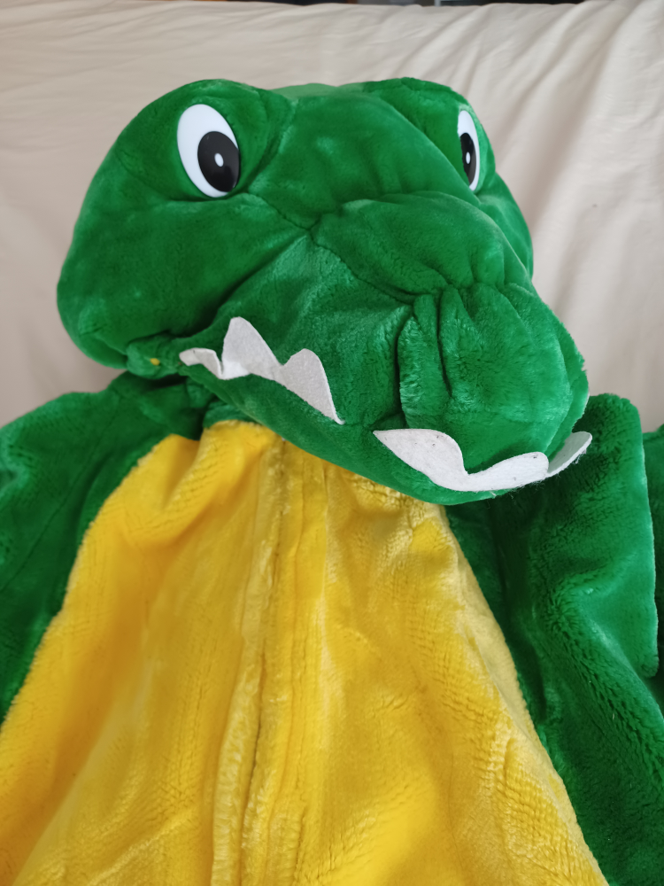 Halloween Alligator costume  -kids for ages 6-9 yrs - photo 2