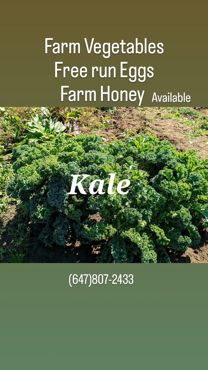 Organic farm vegetables, Farm honey thumbnail