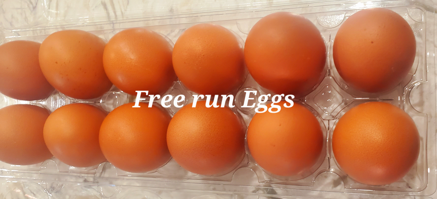 Organic farm vegetables, Farm honey image indicator(2)