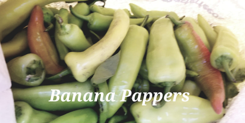 Organic farm vegetables, Farm honey image indicator(7)