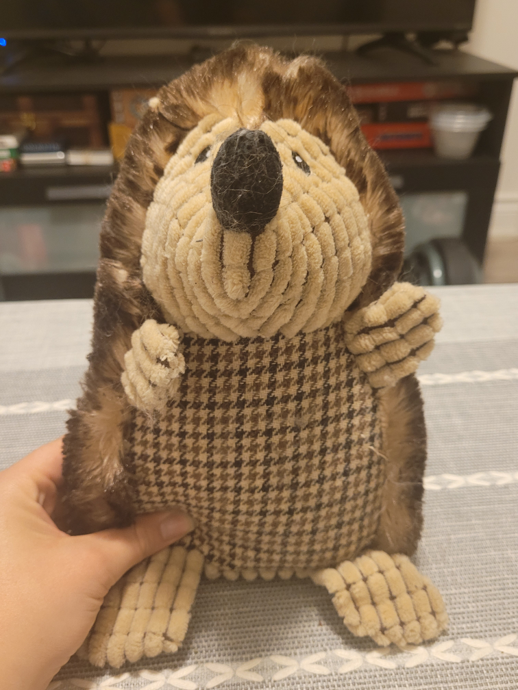 #freecycle Squeaky Hedgehog for Pets thumbnail