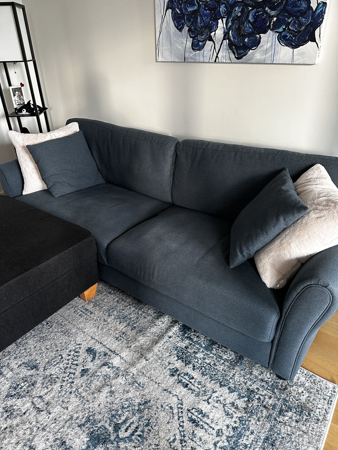 Couch and Ottoman - photo 5
