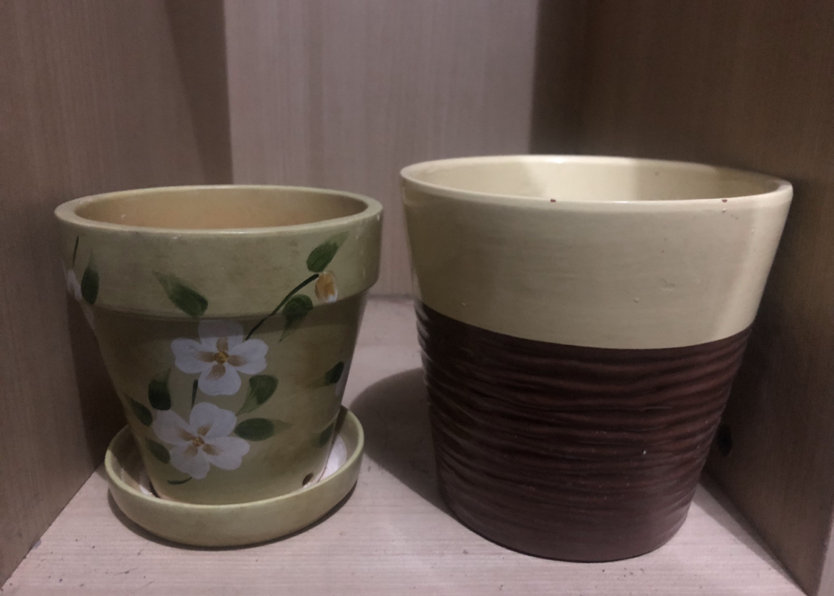 Plant pot #freecycle