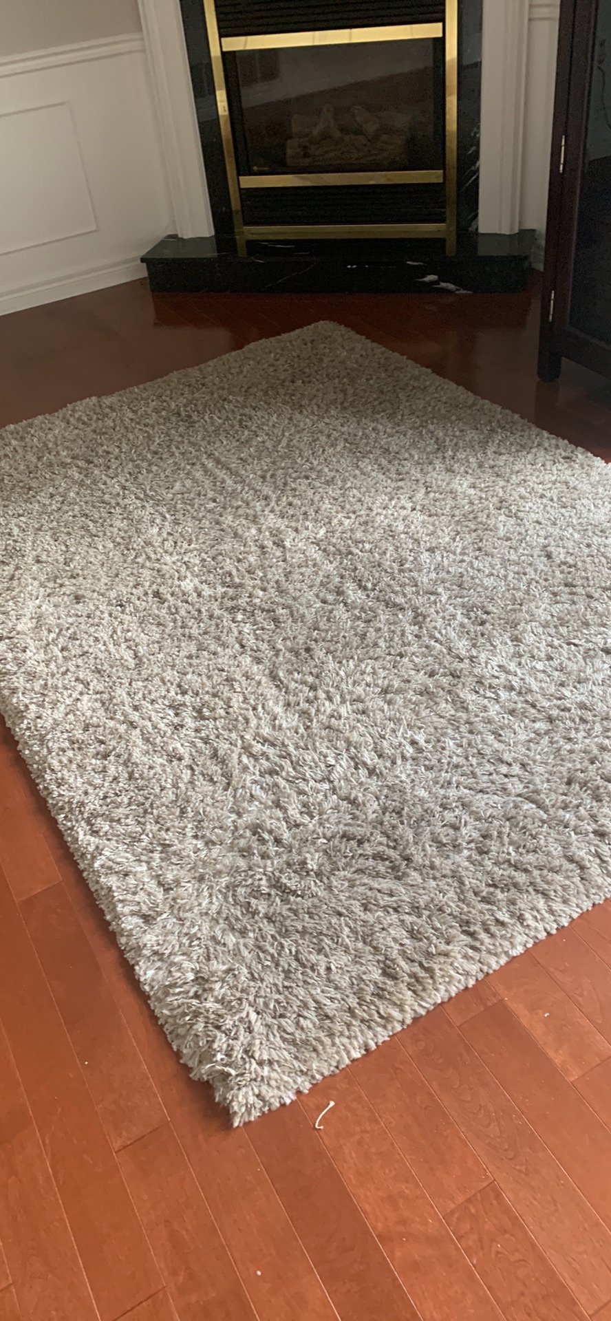 Shag rug
