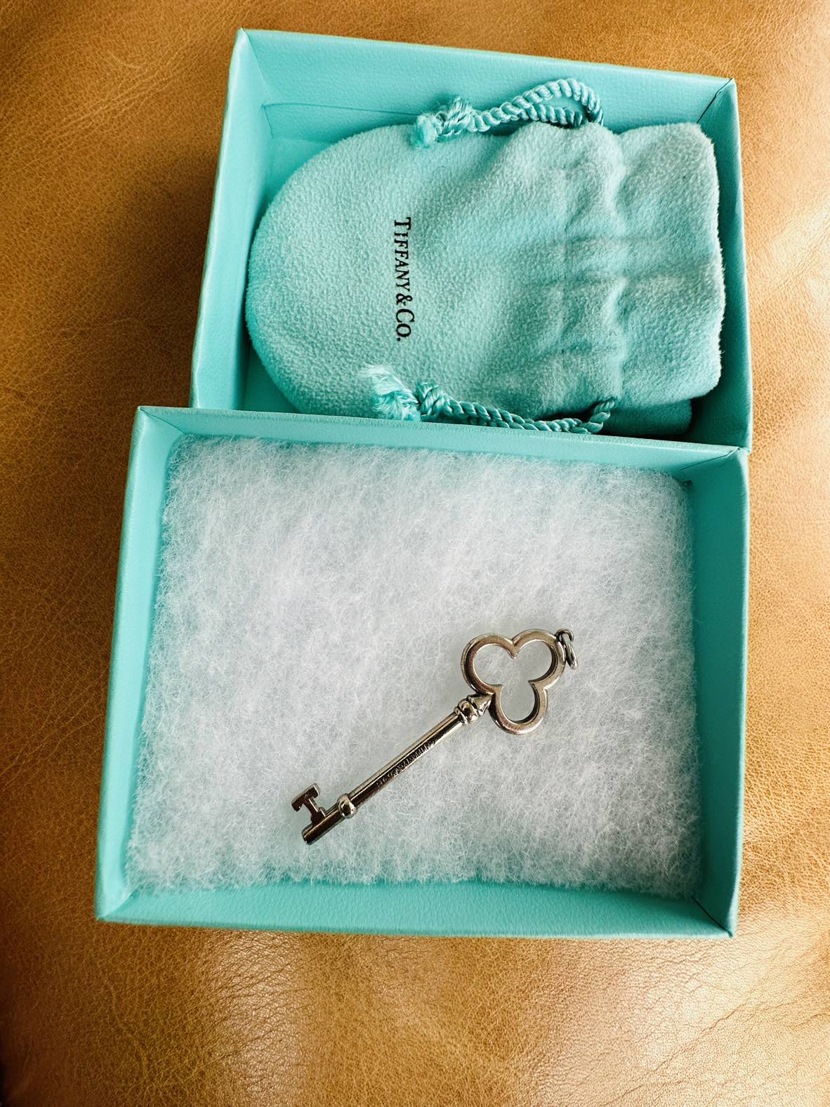 TIFFANY & Co necklace $110 image indicator(8)