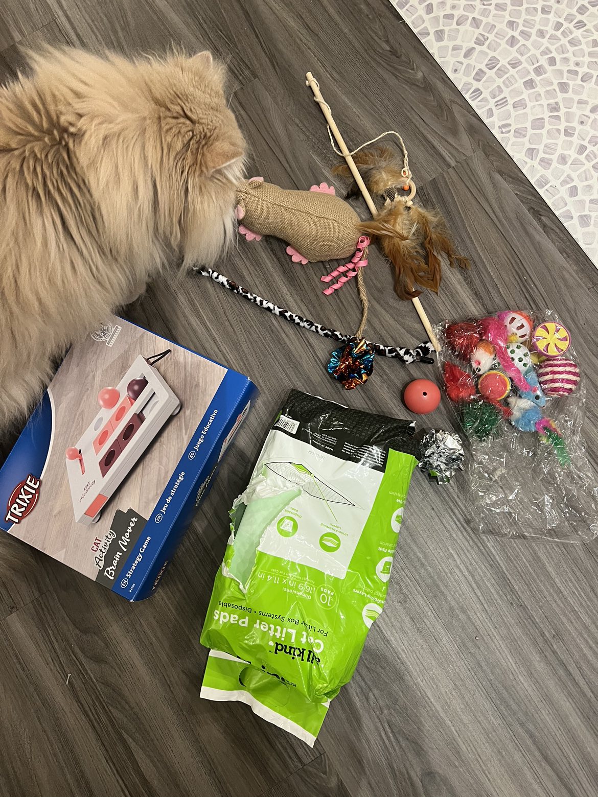 Free cat toys