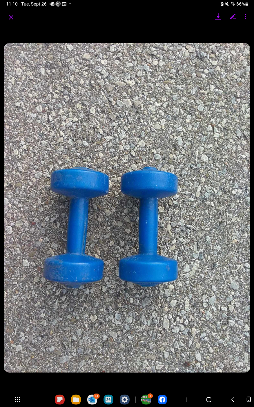 light weight dumbbells