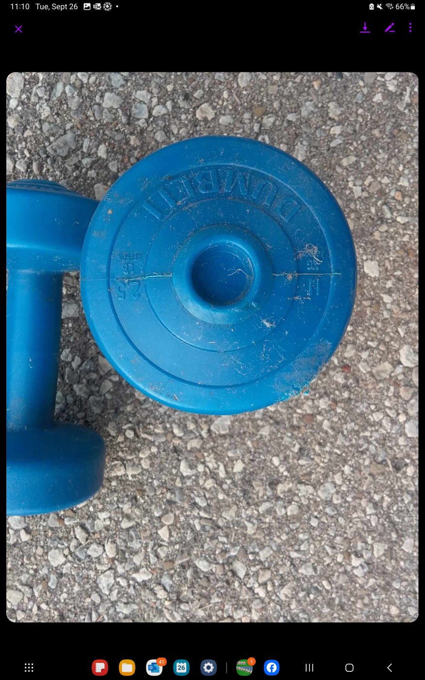 light weight dumbbells - photo 2