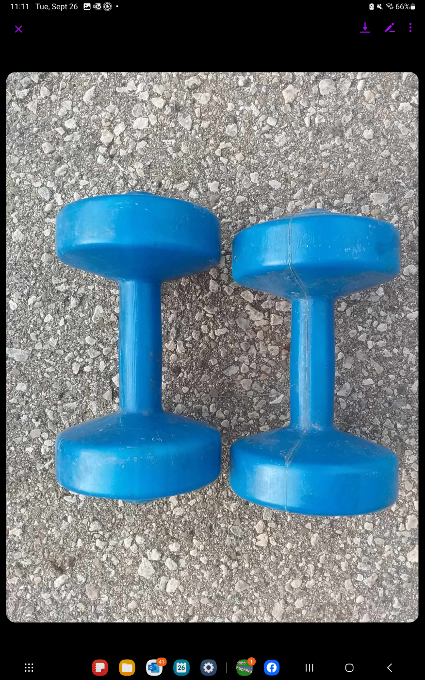light weight dumbbells - photo 4