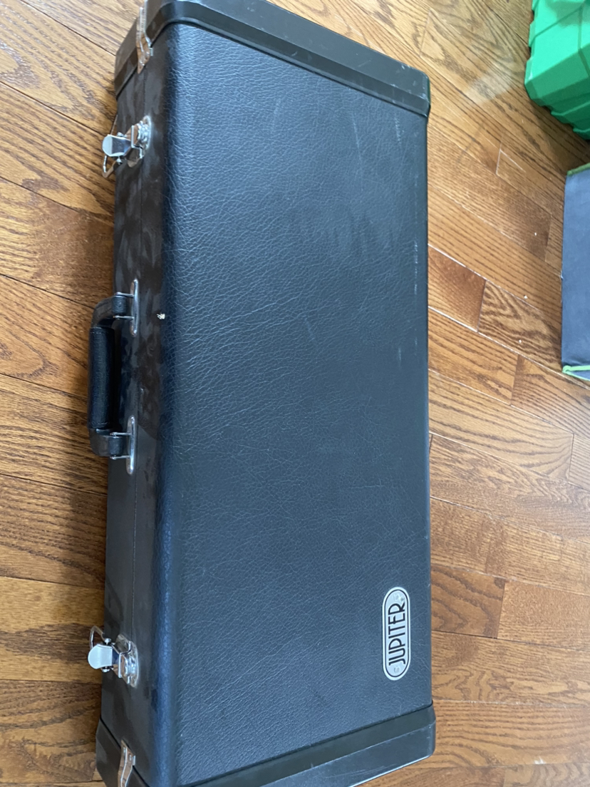 Saxophone cases