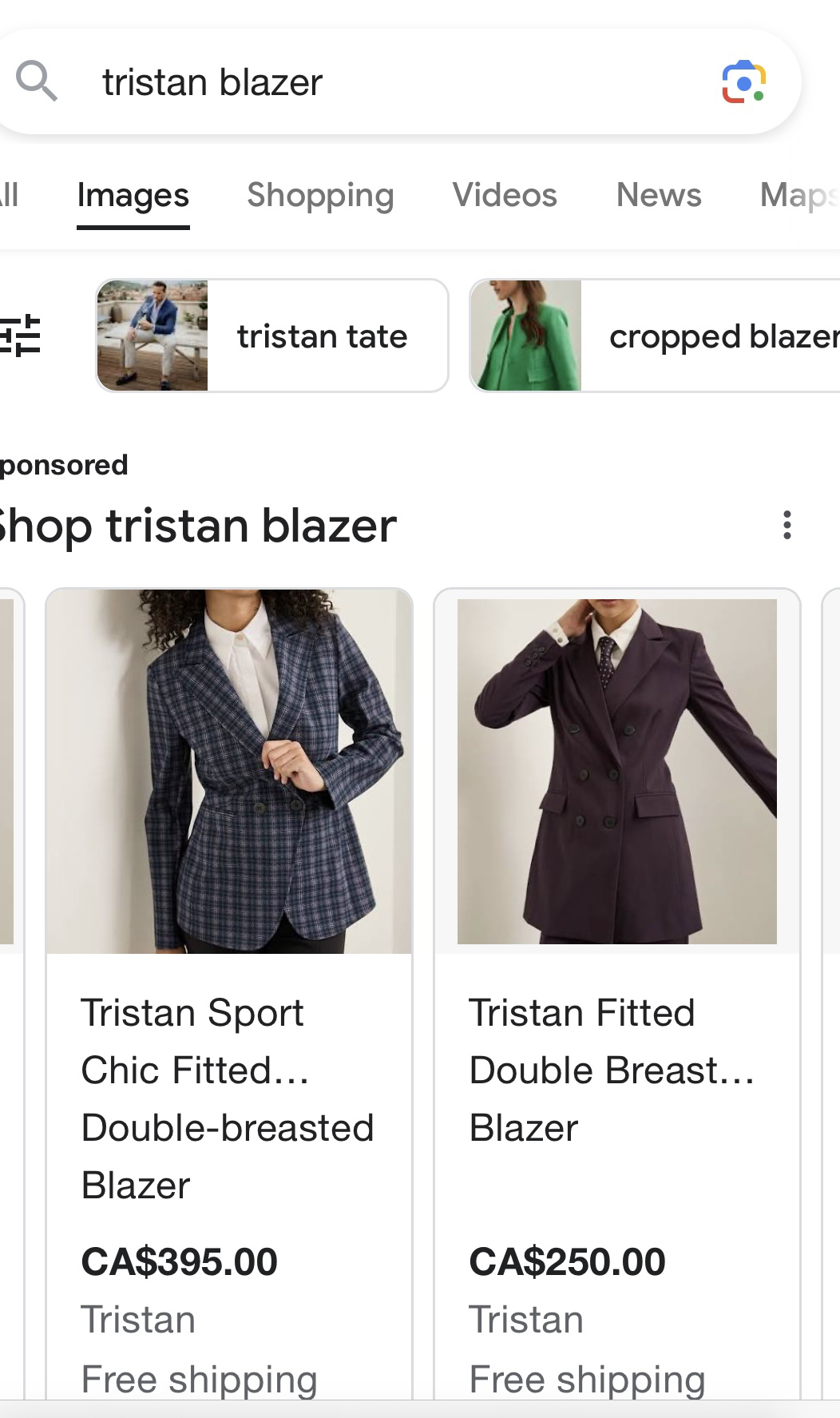 Tristan light gray plaid fitted blazer, super chic! M🥰 image indicator(4)