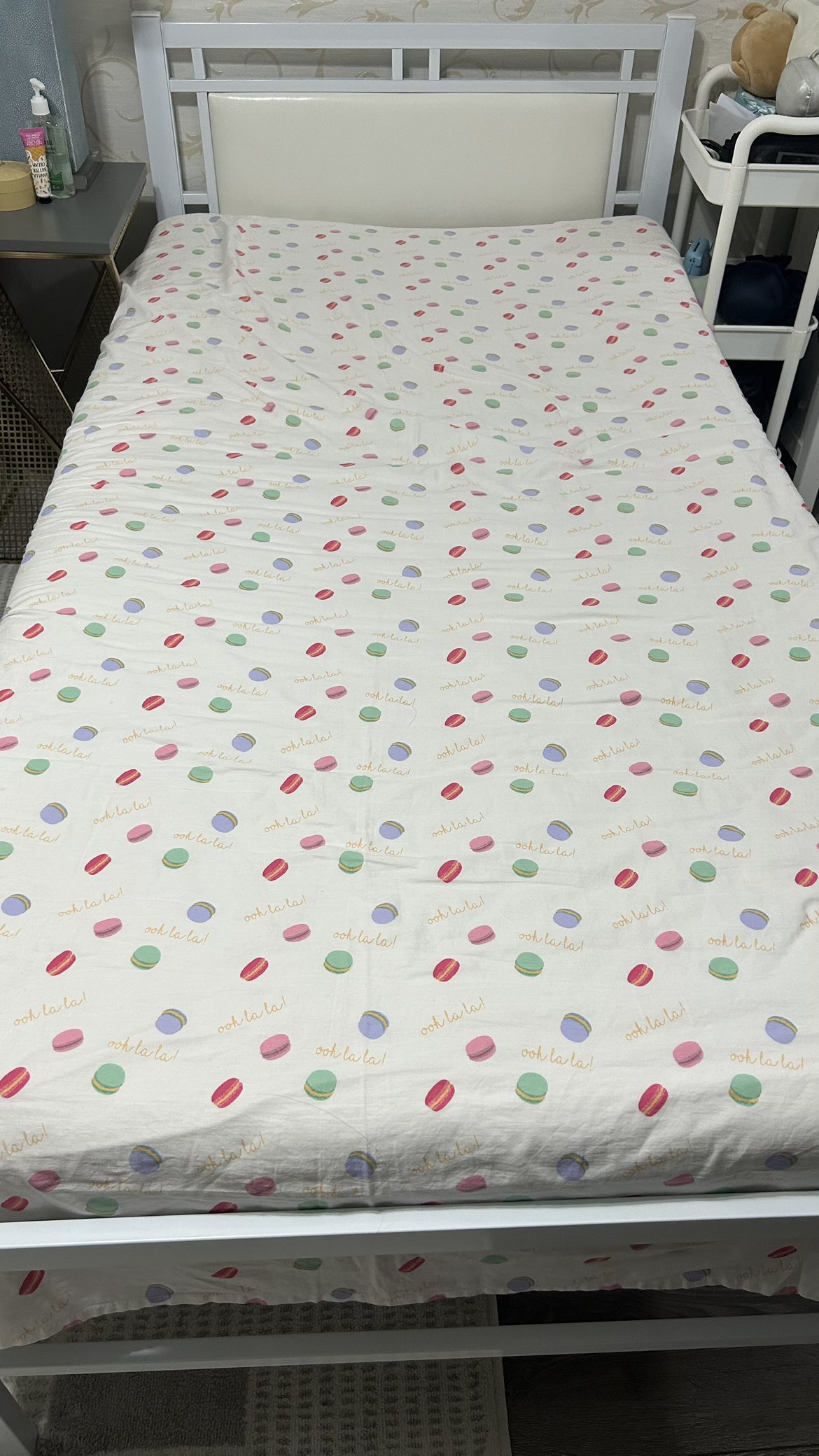 Single Metal Bed Frame with mattress