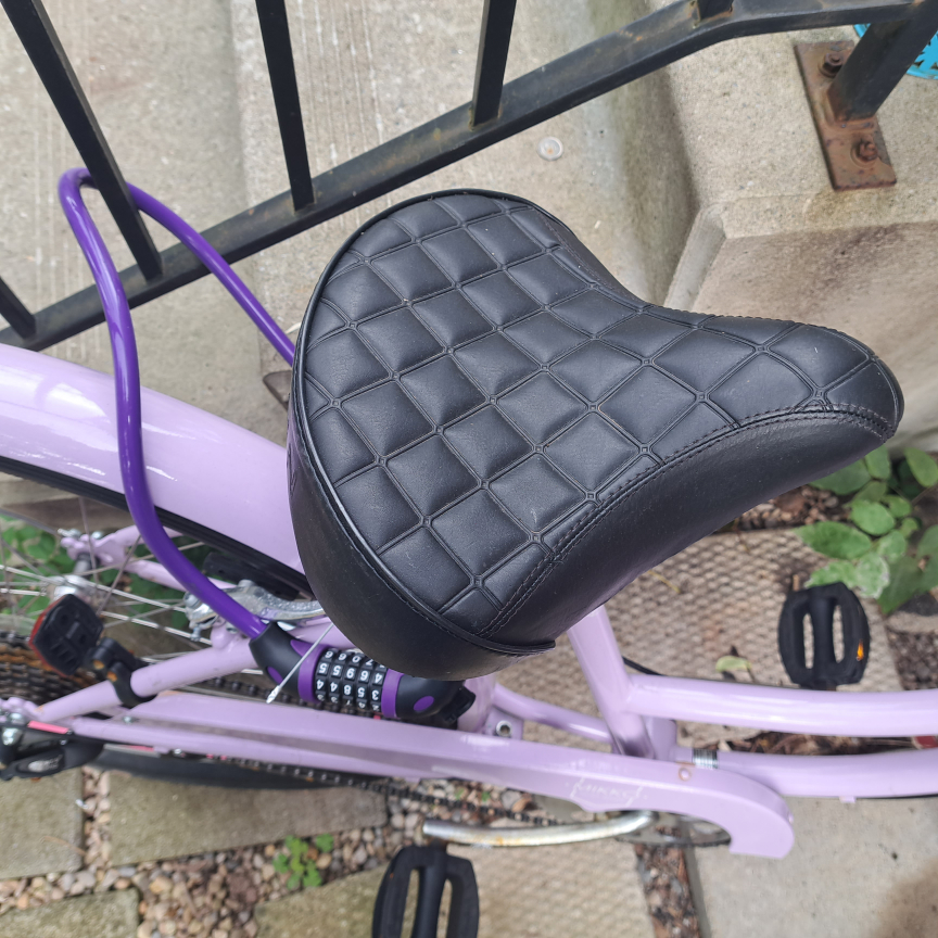 Ladies  schwinn bicycle image indicator(2)